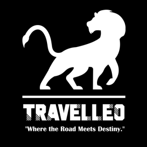 Travelleo Team